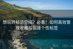 想玩转秘语空间？必看：如何高效管理收藏与创建个性标签