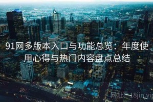 91网多版本入口与功能总览：年度使用心得与热门内容盘点总结