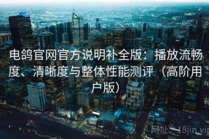 电鸽官网官方说明补全版：播放流畅度、清晰度与整体性能测评（高阶用户版）