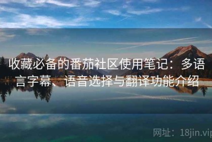 收藏必备的番茄社区使用笔记：多语言字幕、语音选择与翻译功能介绍