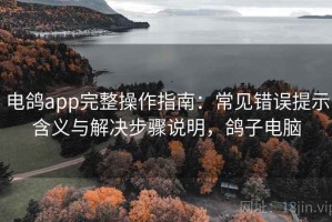 电鸽app完整操作指南：常见错误提示含义与解决步骤说明，鸽子电脑
