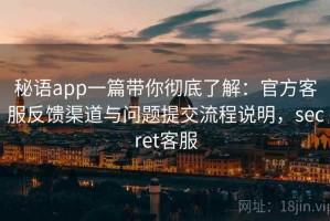 秘语app一篇带你彻底了解：官方客服反馈渠道与问题提交流程说明，secret客服