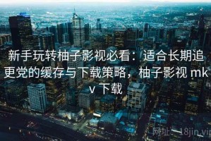 新手玩转柚子影视必看：适合长期追更党的缓存与下载策略，柚子影视 mkv 下载