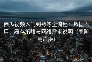 西瓜视频入门到熟练全流程：数据占用、缓存策略与网络需求说明（高阶用户版）