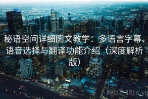 秘语空间详细图文教学：多语言字幕、语音选择与翻译功能介绍（深度解析版）