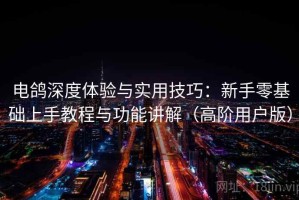 电鸽深度体验与实用技巧：新手零基础上手教程与功能讲解（高阶用户版）