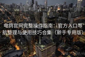 电鸽官网完整操作指南：官方入口导航整理与使用技巧合集（新手专用版）