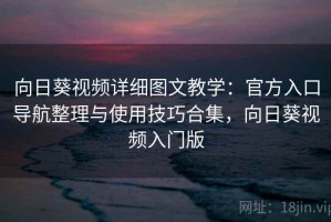 向日葵视频详细图文教学：官方入口导航整理与使用技巧合集，向日葵视频入门版