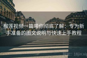 榴莲视频一篇带你彻底了解：专为新手准备的图文说明与快速上手教程