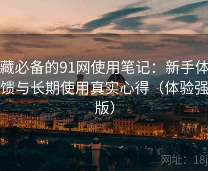 收藏必备的91网使用笔记：新手体验反馈与长期使用真实心得（体验强化版）