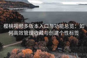 樱桃视频多版本入口与功能总览：如何高效管理收藏与创建个性标签