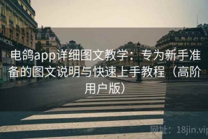 电鸽app详细图文教学：专为新手准备的图文说明与快速上手教程（高阶用户版）