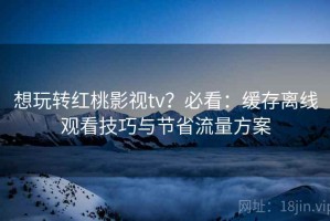 想玩转红桃影视tv？必看：缓存离线观看技巧与节省流量方案