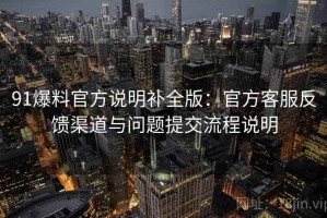 91爆料官方说明补全版：官方客服反馈渠道与问题提交流程说明