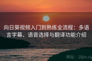 向日葵视频入门到熟练全流程：多语言字幕、语音选择与翻译功能介绍