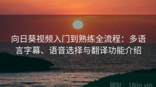 向日葵视频入门到熟练全流程：多语言字幕、语音选择与翻译功能介绍