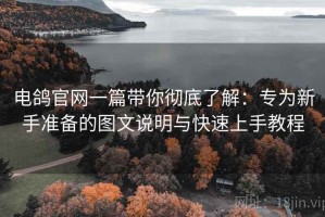 电鸽官网一篇带你彻底了解：专为新手准备的图文说明与快速上手教程