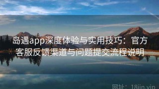 岛遇app深度体验与实用技巧：官方客服反馈渠道与问题提交流程说明
