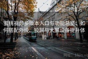 蜜桃视频多版本入口与功能总览：如何搭配外设、投屏与大屏设备提升体验