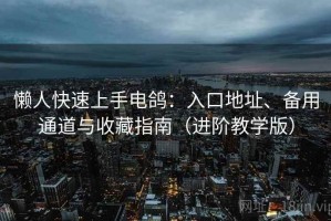懒人快速上手电鸽：入口地址、备用通道与收藏指南（进阶教学版）