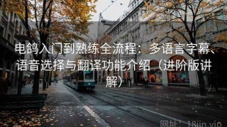 电鸽入门到熟练全流程：多语言字幕、语音选择与翻译功能介绍（进阶版讲解）