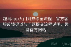 趣岛app入门到熟练全流程：官方客服反馈渠道与问题提交流程说明，趣聊官方网站