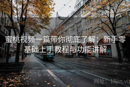 蜜桃视频一篇带你彻底了解：新手零基础上手教程与功能讲解