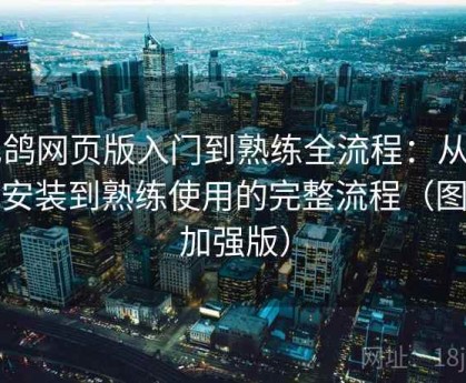 电鸽网页版入门到熟练全流程：从下载安装到熟练使用的完整流程（图文加强版）