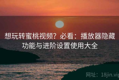 想玩转蜜桃视频？必看：播放器隐藏功能与进阶设置使用大全