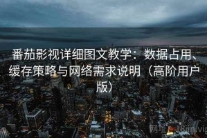 番茄影视详细图文教学：数据占用、缓存策略与网络需求说明（高阶用户版）