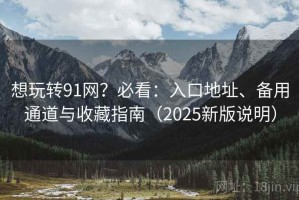 想玩转91网？必看：入口地址、备用通道与收藏指南（2025新版说明）