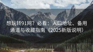 想玩转91网？必看：入口地址、备用通道与收藏指南（2025新版说明）