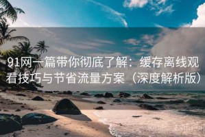 91网一篇带你彻底了解：缓存离线观看技巧与节省流量方案（深度解析版）
