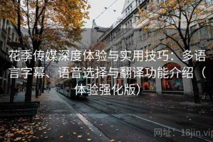 花季传媒深度体验与实用技巧：多语言字幕、语音选择与翻译功能介绍（体验强化版）