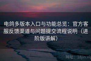 电鸽多版本入口与功能总览：官方客服反馈渠道与问题提交流程说明（进阶版讲解）