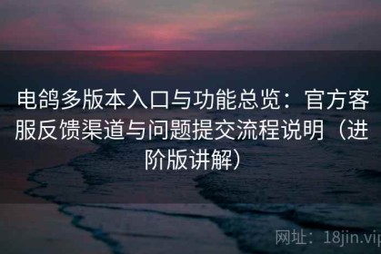 电鸽多版本入口与功能总览：官方客服反馈渠道与问题提交流程说明（进阶版讲解）