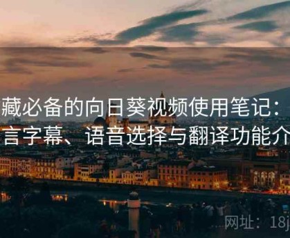 收藏必备的向日葵视频使用笔记：多语言字幕、语音选择与翻译功能介绍