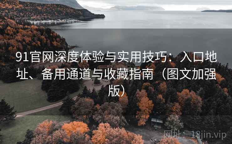 91官网深度体验与实用技巧：入口地址、备用通道与收藏指南（图文加强版）
