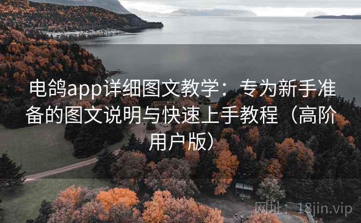 电鸽app详细图文教学：专为新手准备的图文说明与快速上手教程（高阶用户版）