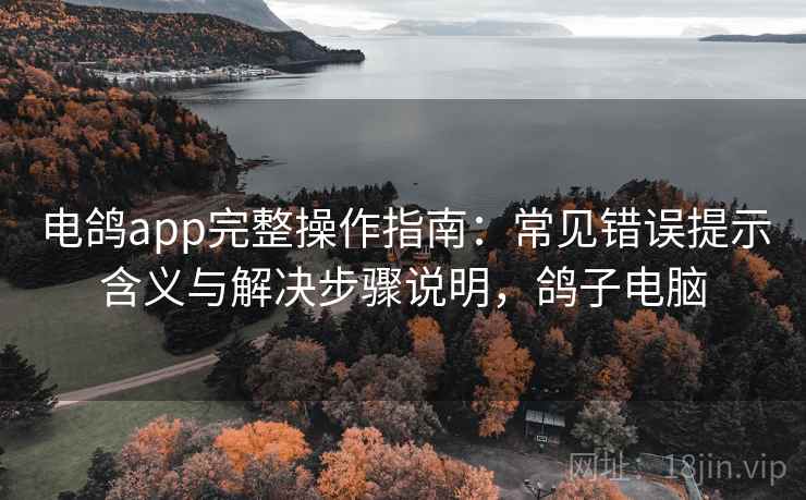 电鸽app完整操作指南：常见错误提示含义与解决步骤说明，鸽子电脑