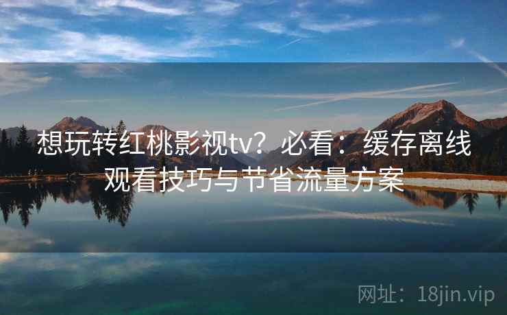 想玩转红桃影视tv？必看：缓存离线观看技巧与节省流量方案