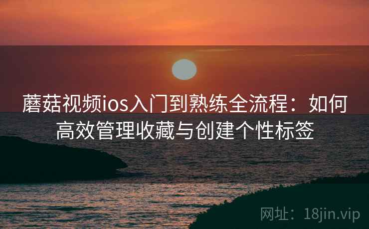 蘑菇视频ios入门到熟练全流程：如何高效管理收藏与创建个性标签