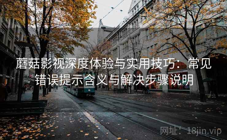蘑菇影视深度体验与实用技巧：常见错误提示含义与解决步骤说明