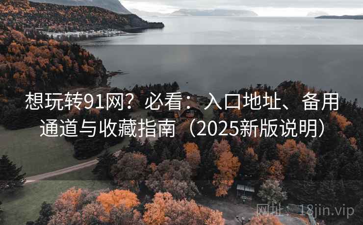 想玩转91网？必看：入口地址、备用通道与收藏指南（2025新版说明）