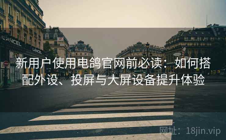新用户使用电鸽官网前必读:如何搭配外设、投屏与大屏设备提升体验 新用户使用电鸽官网前必读:如何搭配外设、投屏与大屏设备提升体验