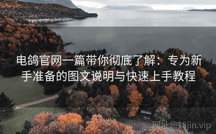 电鸽官网一篇带你彻底了解:专为新手准备的图文说明与快速上手教程 电鸽官网一篇带你彻底了解:专为新手准备的图文说明与快速上手教程