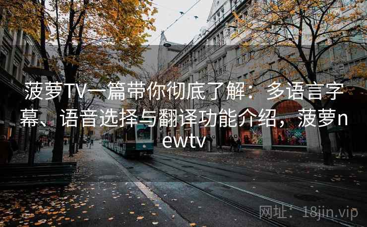 菠萝TV一篇带你彻底了解：多语言字幕、语音选择与翻译功能介绍，菠萝newtv