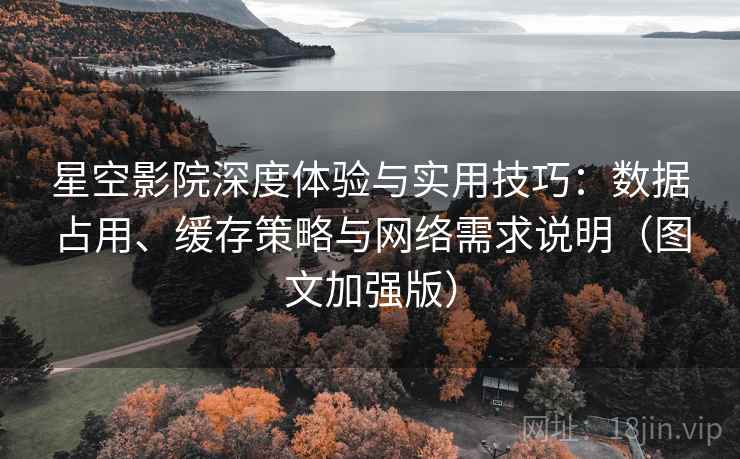 星空影院深度体验与实用技巧：数据占用、缓存策略与网络需求说明（图文加强版）