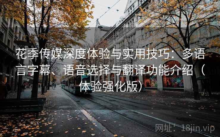 花季传媒深度体验与实用技巧：多语言字幕、语音选择与翻译功能介绍（体验强化版）