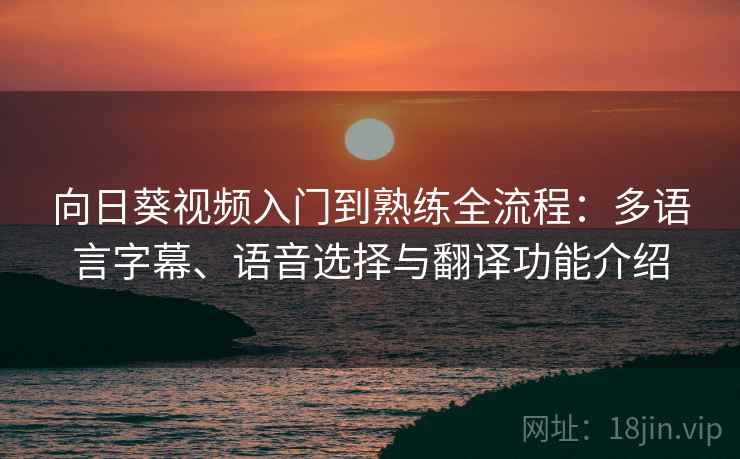 向日葵视频入门到熟练全流程:多语言字幕、语音选择与翻译功能介绍 向日葵视频入门到熟练全流程:多语言字幕、语音选择与翻译功能介绍